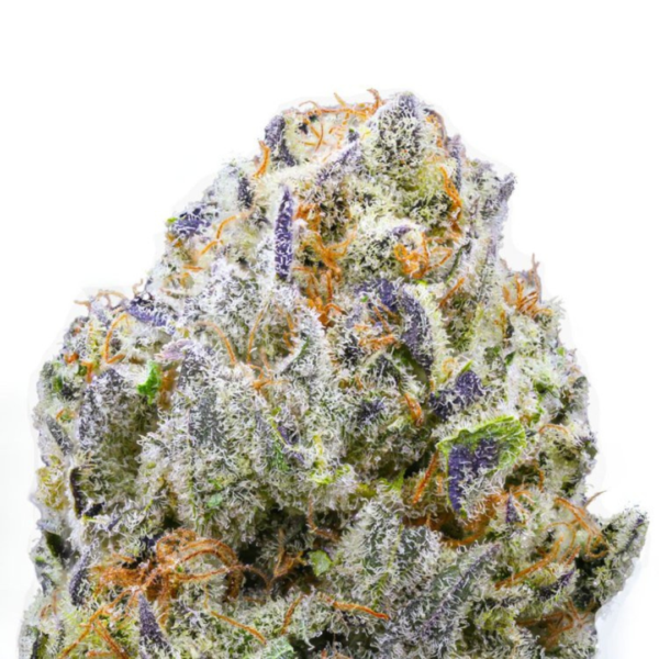 Snow Queen - Image 4
