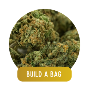 High Society: Build-A-Bag