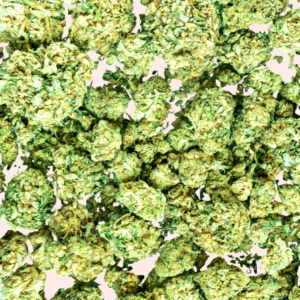 High Society: Build-A-Bag (East Coast)