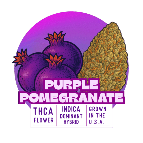 Purple Pomegranate