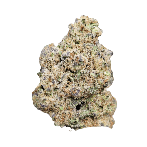Blue Nerdz - Image 2