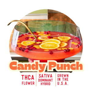 Candy Punch