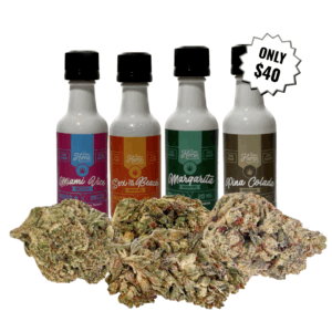 Back to School Buzz Bundle