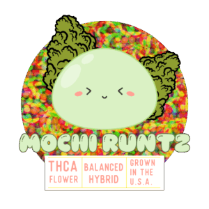 Mochi Runtz