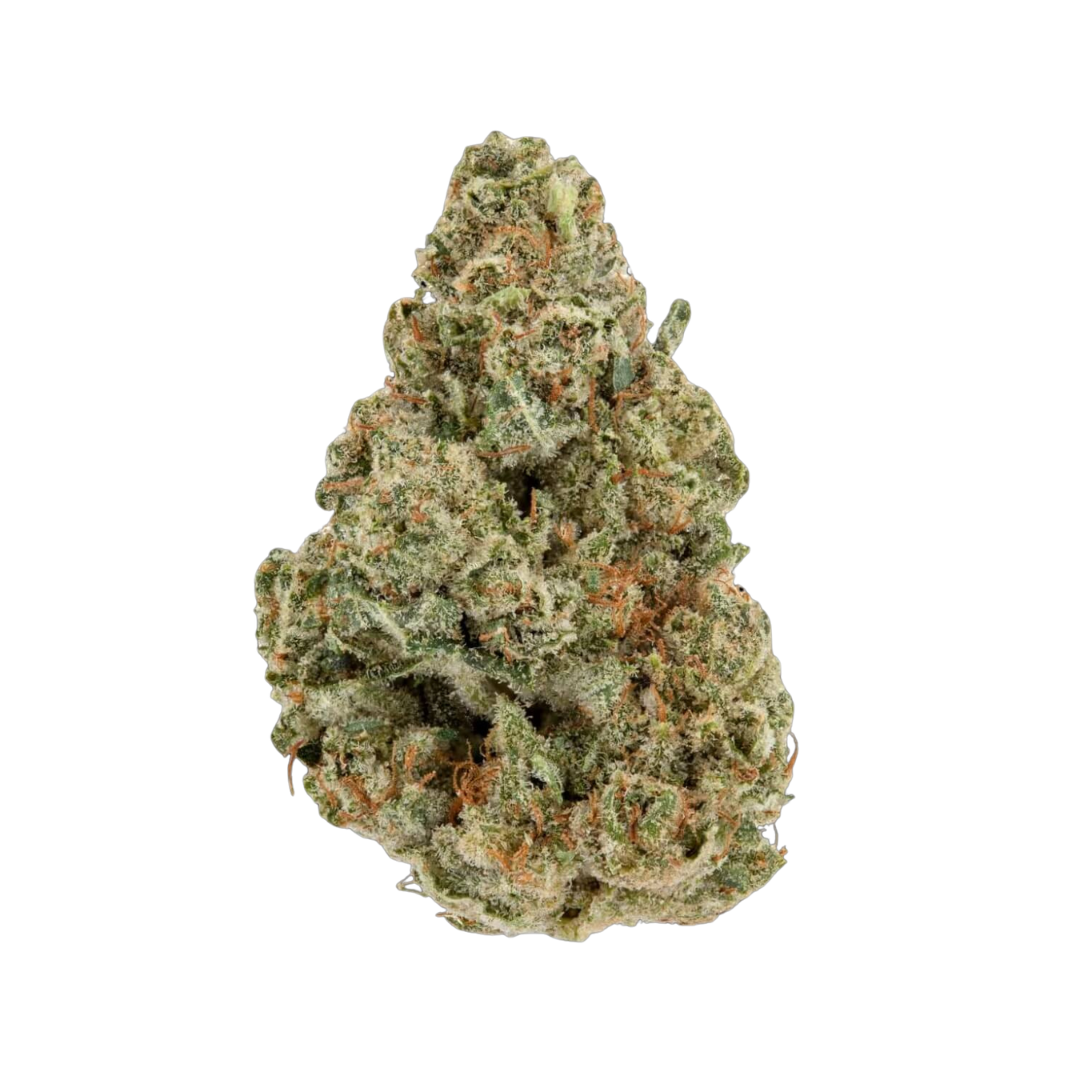 Gelato 41 - Image 2