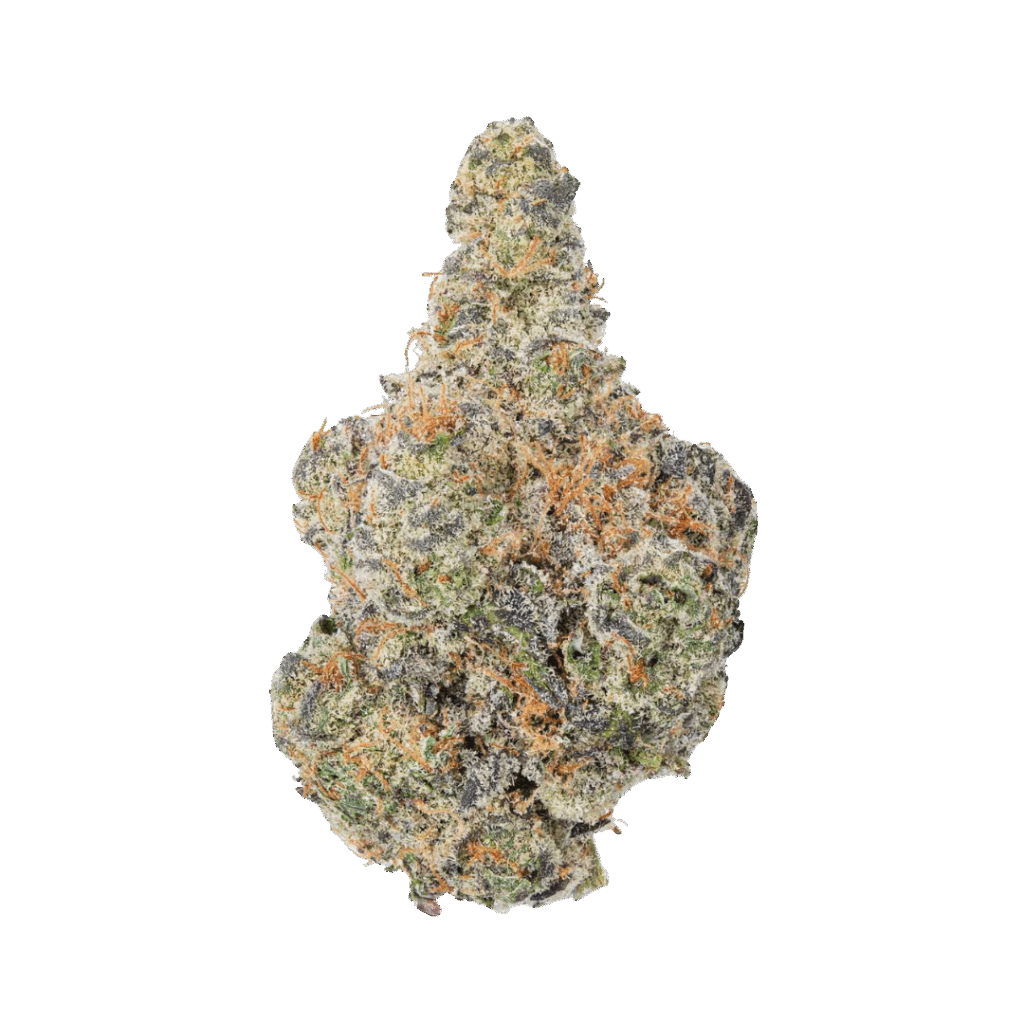 Purple Cookies • Balanced Hybrid • 28%