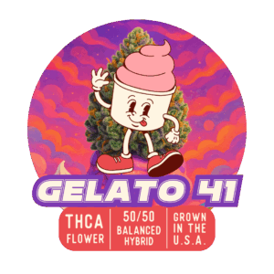 Gelato 41
