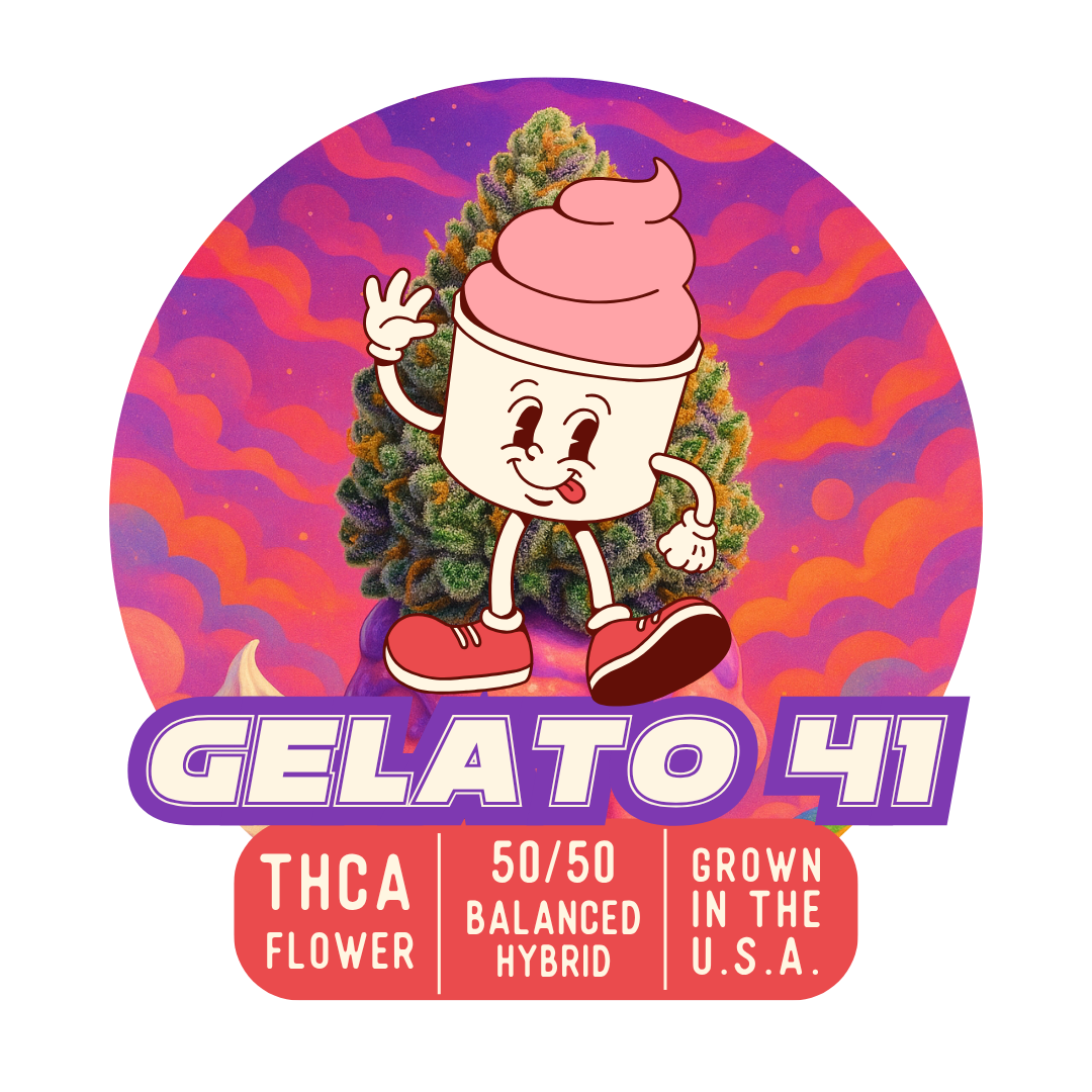 Gelato 41