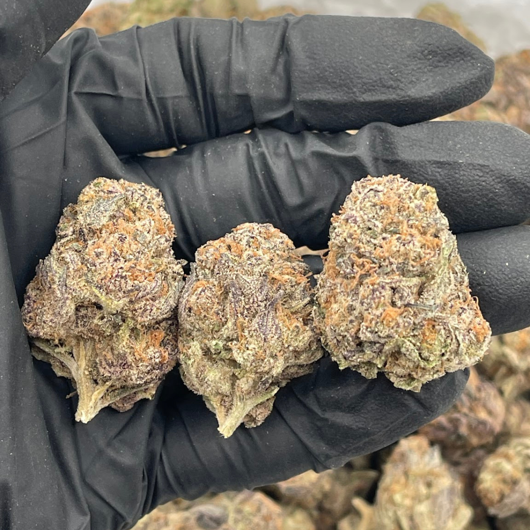 Blueberry Pancakes - Image 4