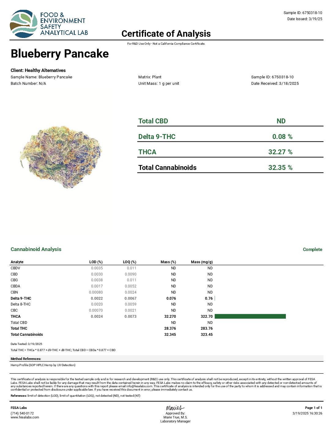Blueberry Pancakes - Image 5