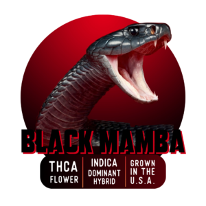 Black Mamba