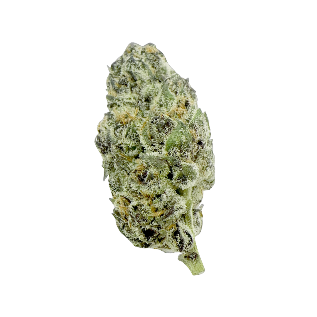 Tangerine Dream - Image 2