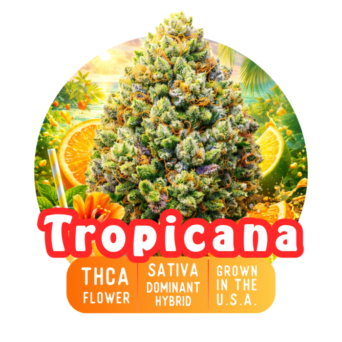 Tropicana Sativa THCa% - 24.9%