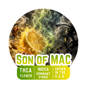 Son of MAC
