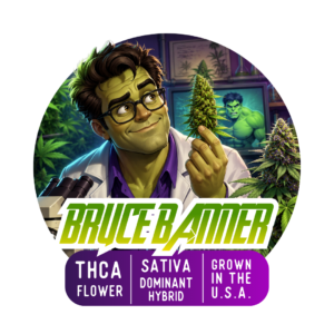 Bruce Banner