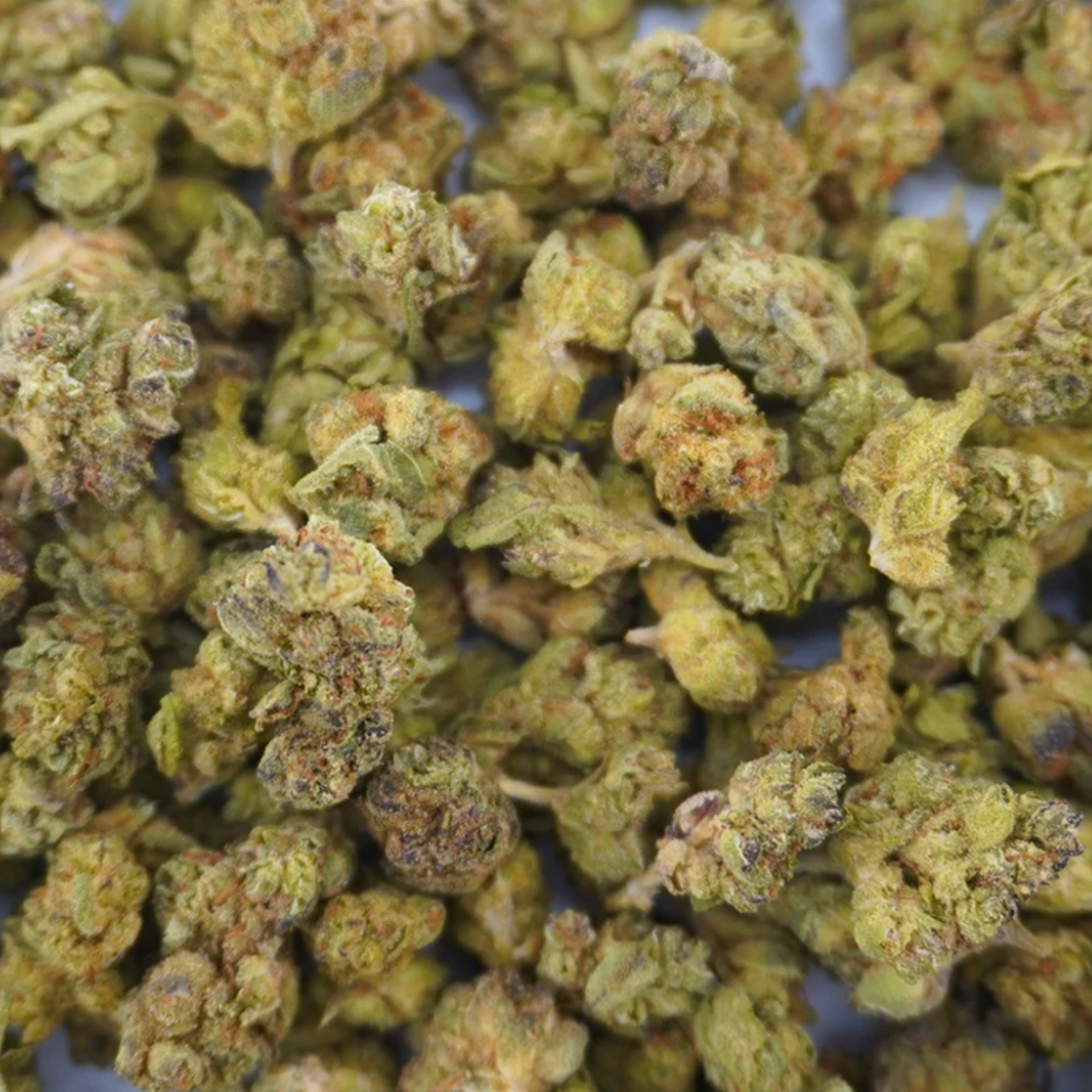 Gary Zkittles - 1oz. Smalls - Image 2